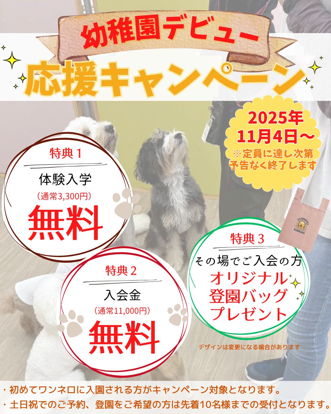 一周年キャンペーン