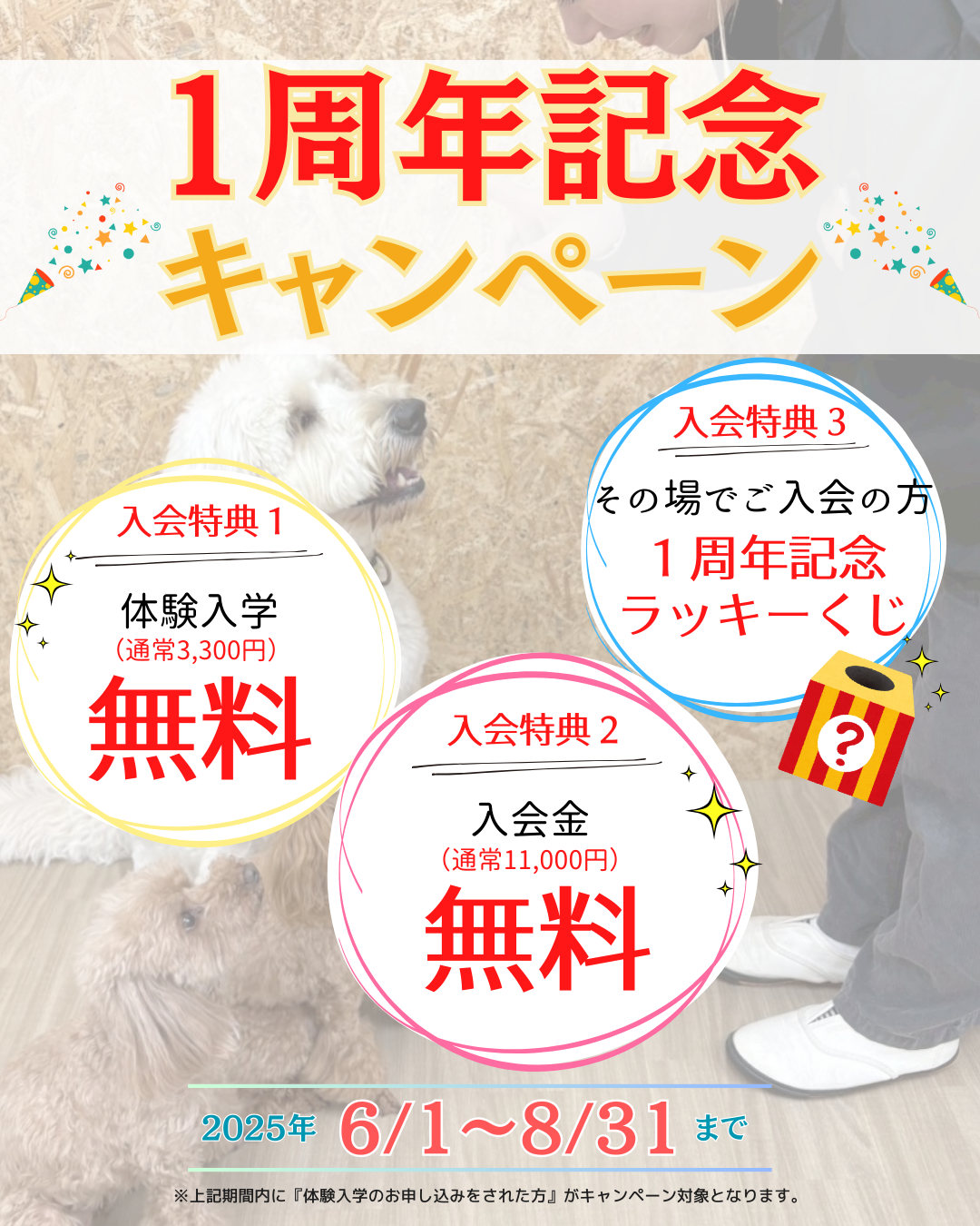 一周年キャンペーン
