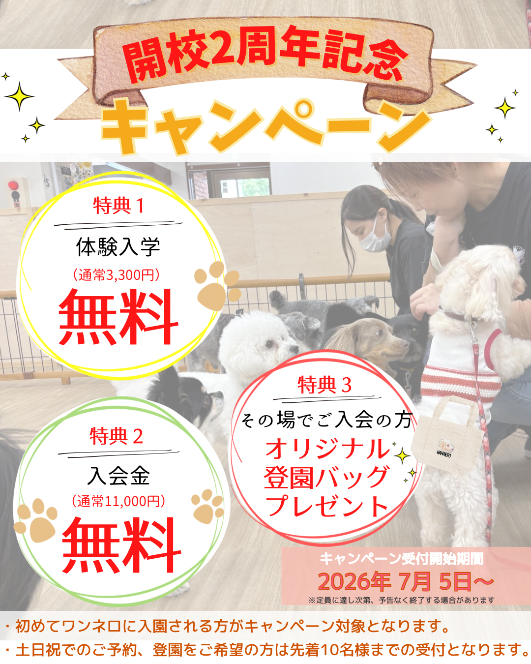 キャンペーン